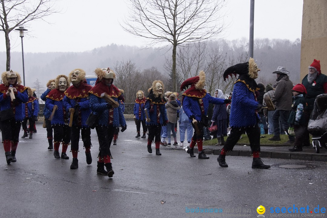 Festumzug mit Motivwagen: Stockach am Bodensee, 01.02.2015