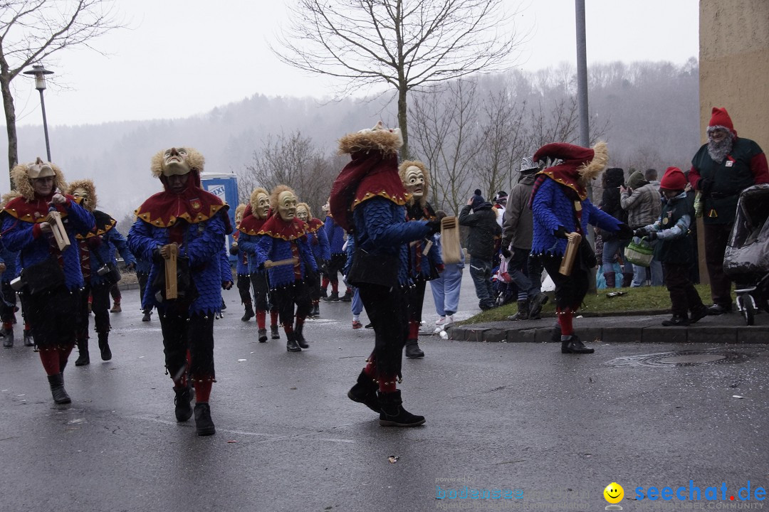 Festumzug mit Motivwagen: Stockach am Bodensee, 01.02.2015