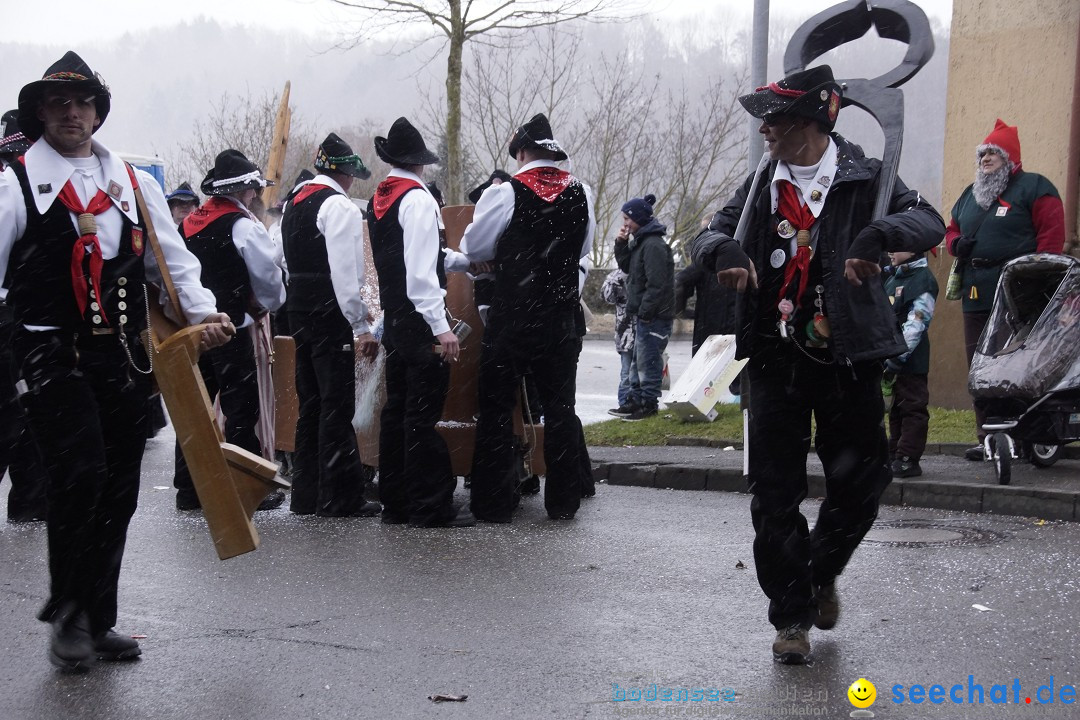 Festumzug mit Motivwagen: Stockach am Bodensee, 01.02.2015