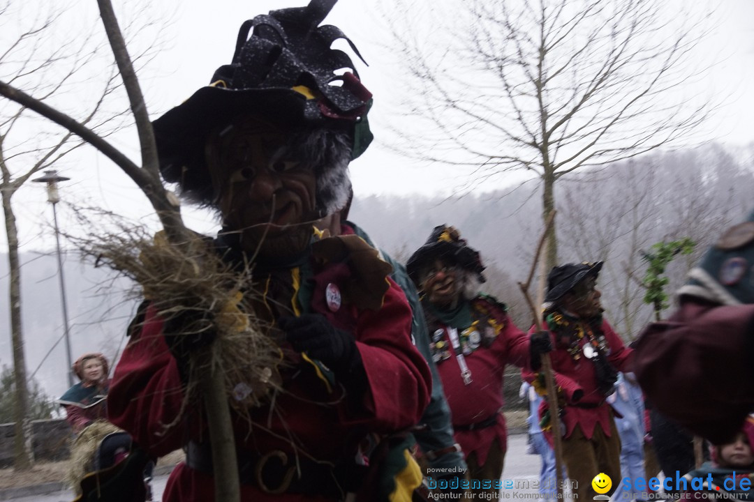 Festumzug mit Motivwagen: Stockach am Bodensee, 01.02.2015