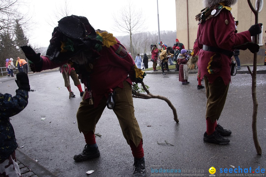 Festumzug mit Motivwagen: Stockach am Bodensee, 01.02.2015