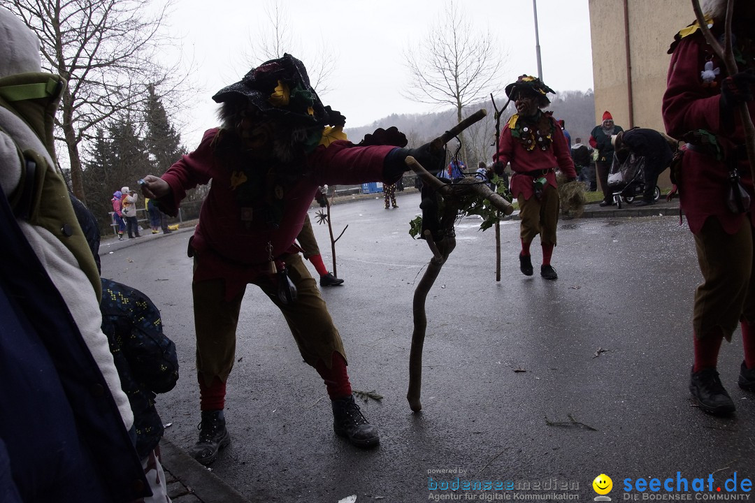 Festumzug mit Motivwagen: Stockach am Bodensee, 01.02.2015