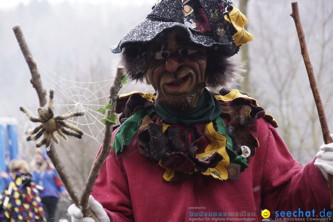 Festumzug mit Motivwagen: Stockach am Bodensee, 01.02.2015