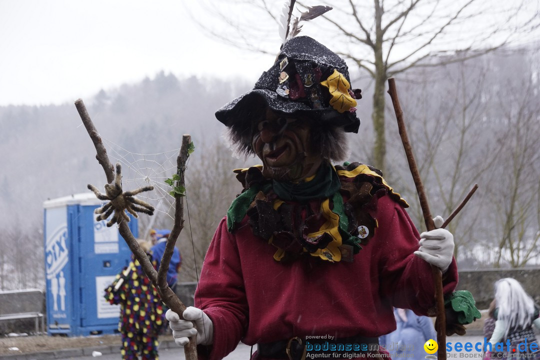 Festumzug mit Motivwagen: Stockach am Bodensee, 01.02.2015