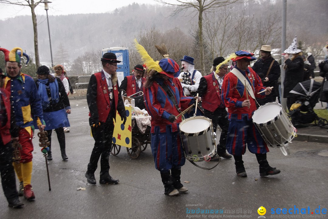 Festumzug mit Motivwagen: Stockach am Bodensee, 01.02.2015