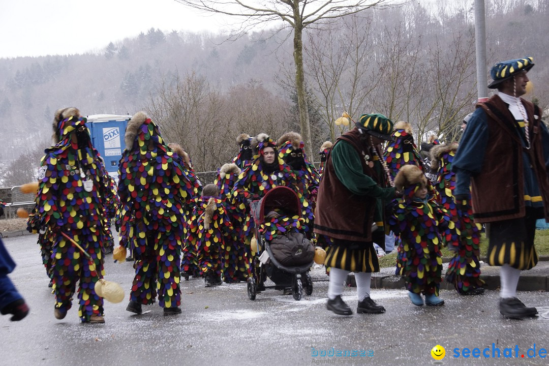 Festumzug mit Motivwagen: Stockach am Bodensee, 01.02.2015