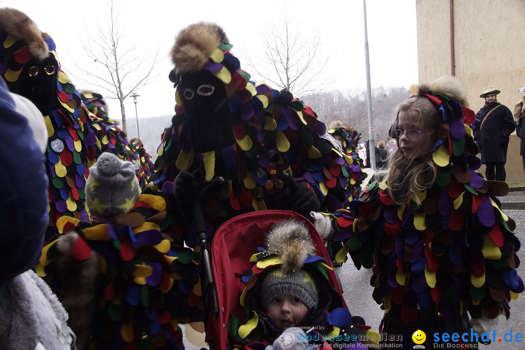 Festumzug mit Motivwagen: Stockach am Bodensee, 01.02.2015