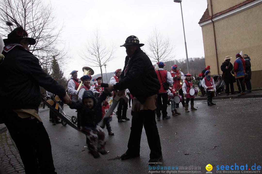 Festumzug mit Motivwagen: Stockach am Bodensee, 01.02.2015