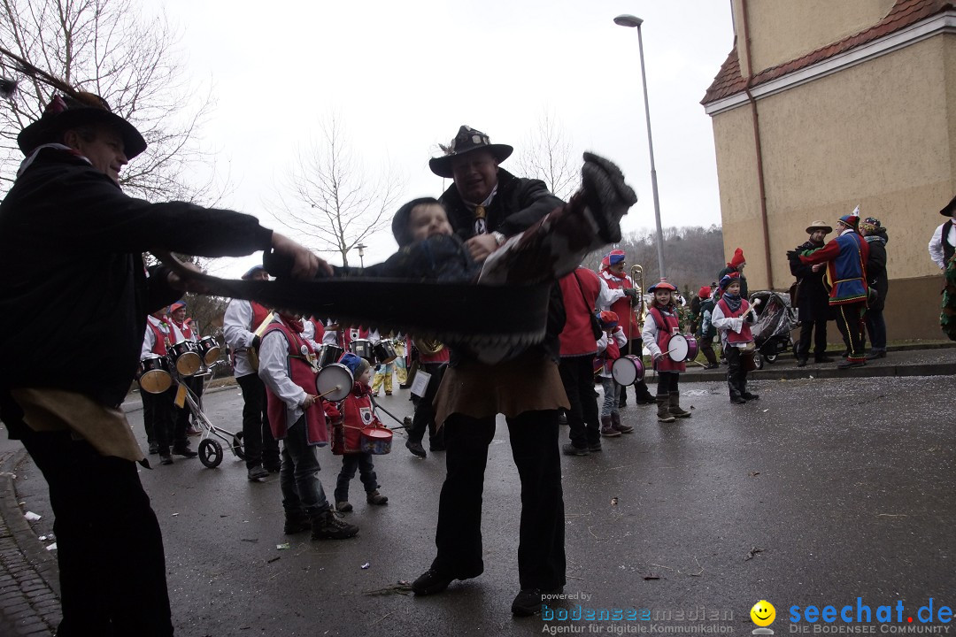 Festumzug mit Motivwagen: Stockach am Bodensee, 01.02.2015