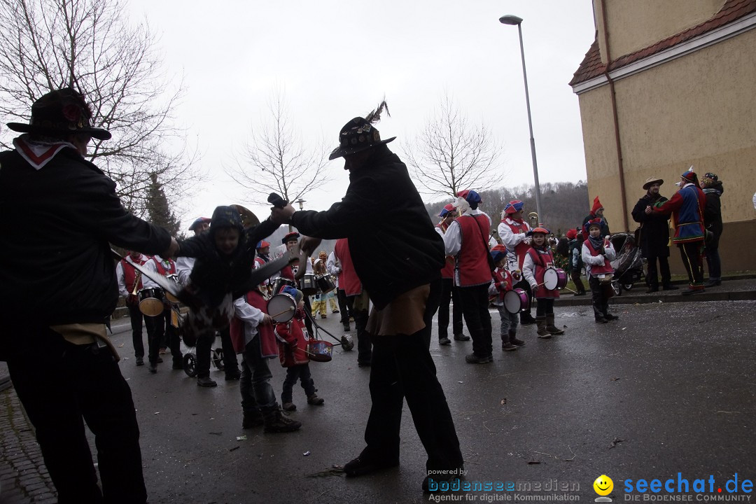 Festumzug mit Motivwagen: Stockach am Bodensee, 01.02.2015