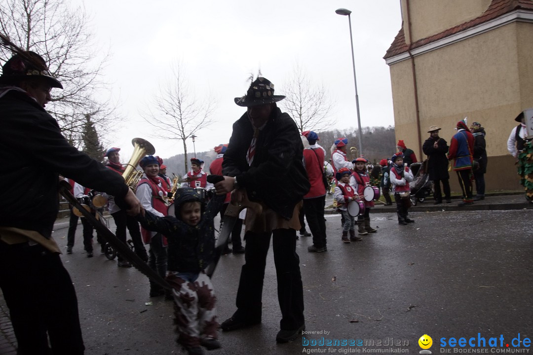 Festumzug mit Motivwagen: Stockach am Bodensee, 01.02.2015