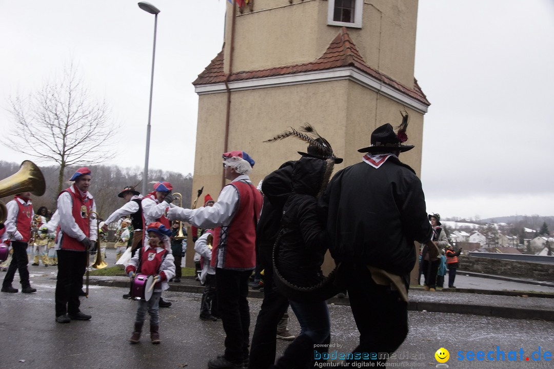 Festumzug mit Motivwagen: Stockach am Bodensee, 01.02.2015