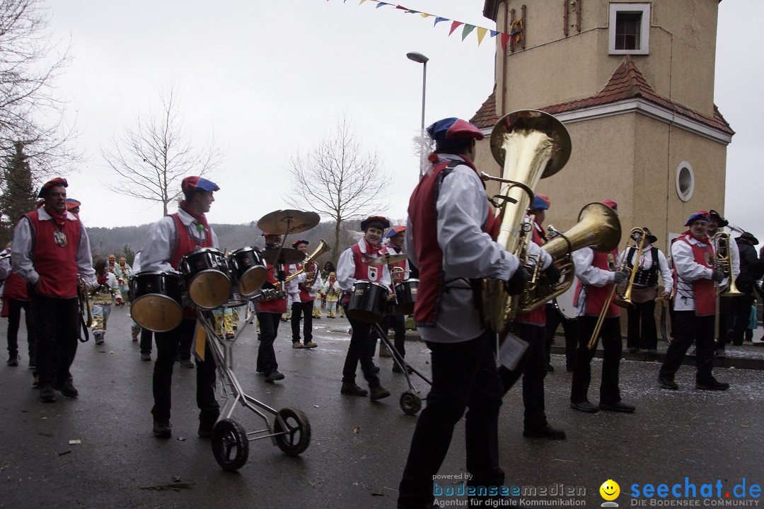 Festumzug mit Motivwagen: Stockach am Bodensee, 01.02.2015