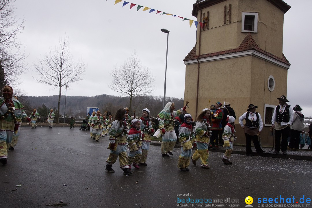 Festumzug mit Motivwagen: Stockach am Bodensee, 01.02.2015