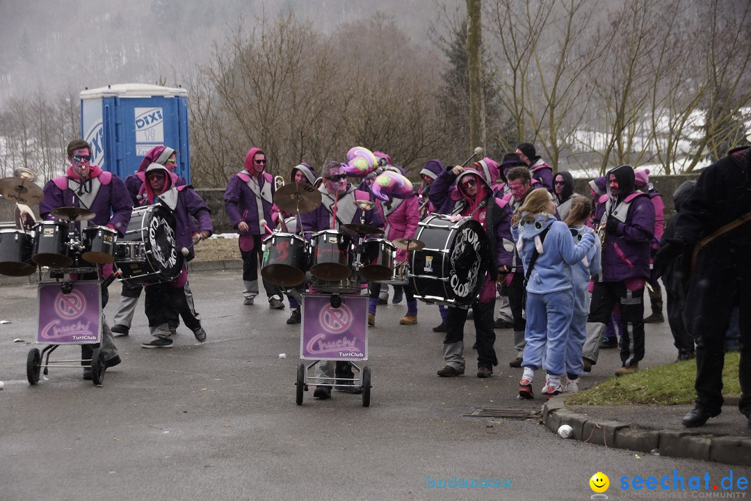 Festumzug mit Motivwagen: Stockach am Bodensee, 01.02.2015