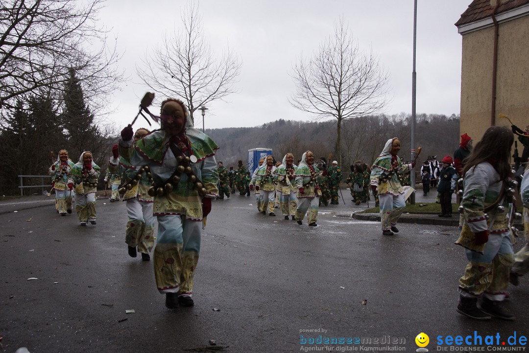 Festumzug mit Motivwagen: Stockach am Bodensee, 01.02.2015