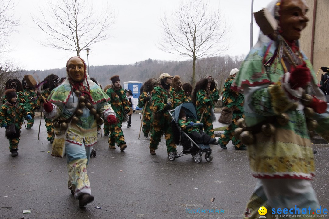 Festumzug mit Motivwagen: Stockach am Bodensee, 01.02.2015