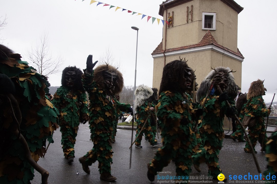 Festumzug mit Motivwagen: Stockach am Bodensee, 01.02.2015