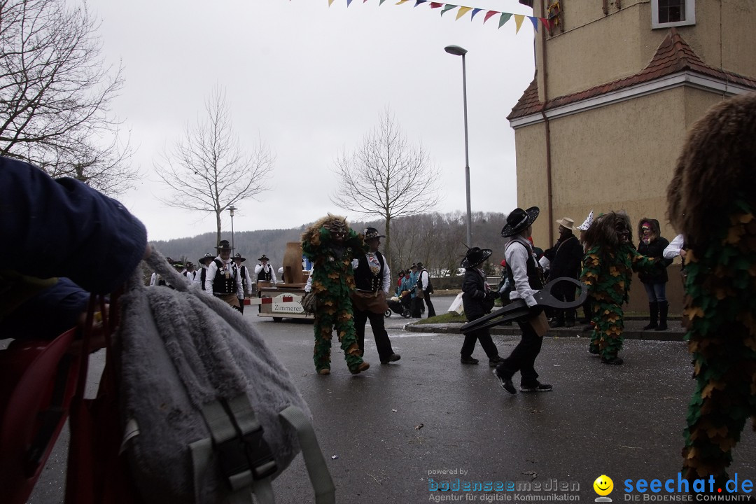 Festumzug mit Motivwagen: Stockach am Bodensee, 01.02.2015