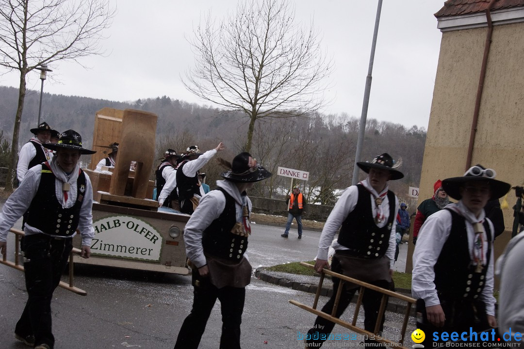 Festumzug mit Motivwagen: Stockach am Bodensee, 01.02.2015