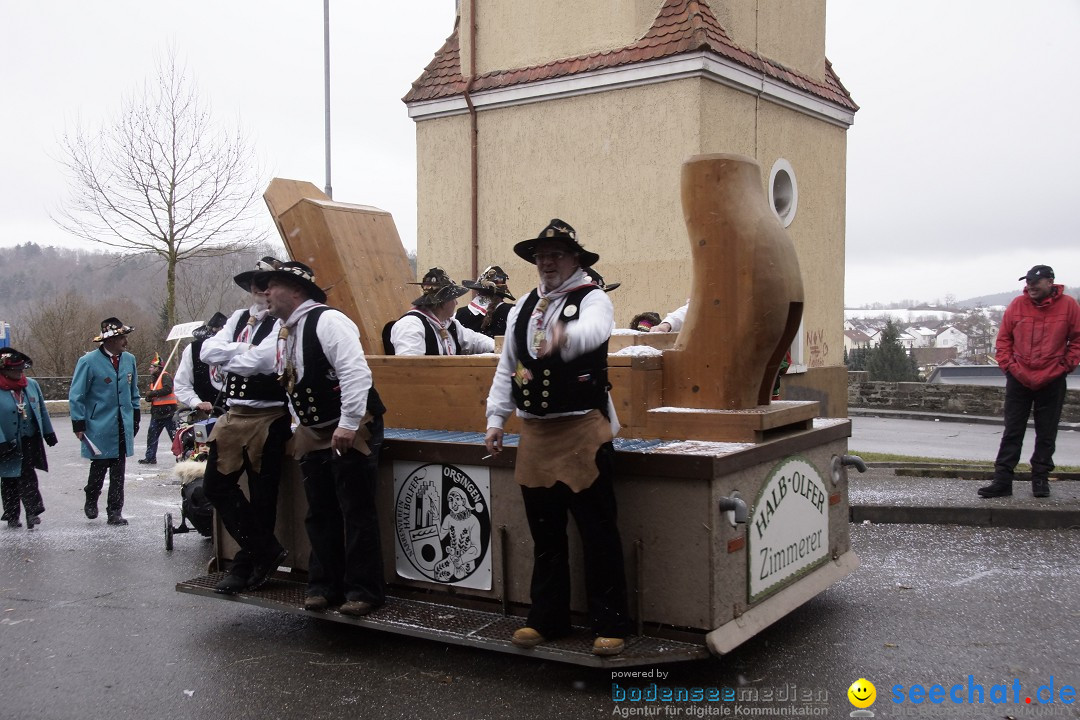 Festumzug mit Motivwagen: Stockach am Bodensee, 01.02.2015