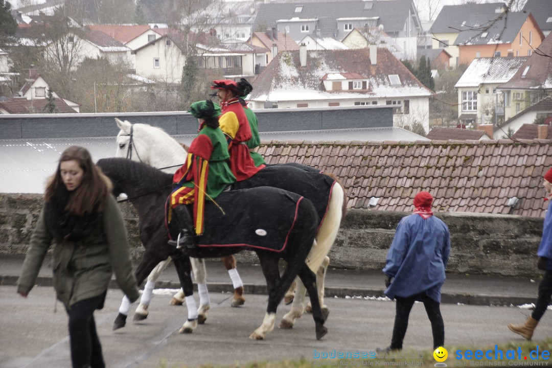 Festumzug mit Motivwagen: Stockach am Bodensee, 01.02.2015