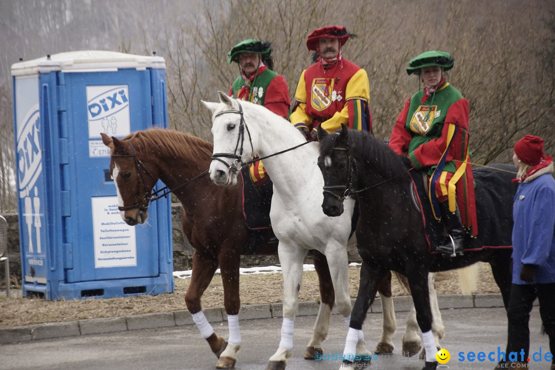 Festumzug mit Motivwagen: Stockach am Bodensee, 01.02.2015