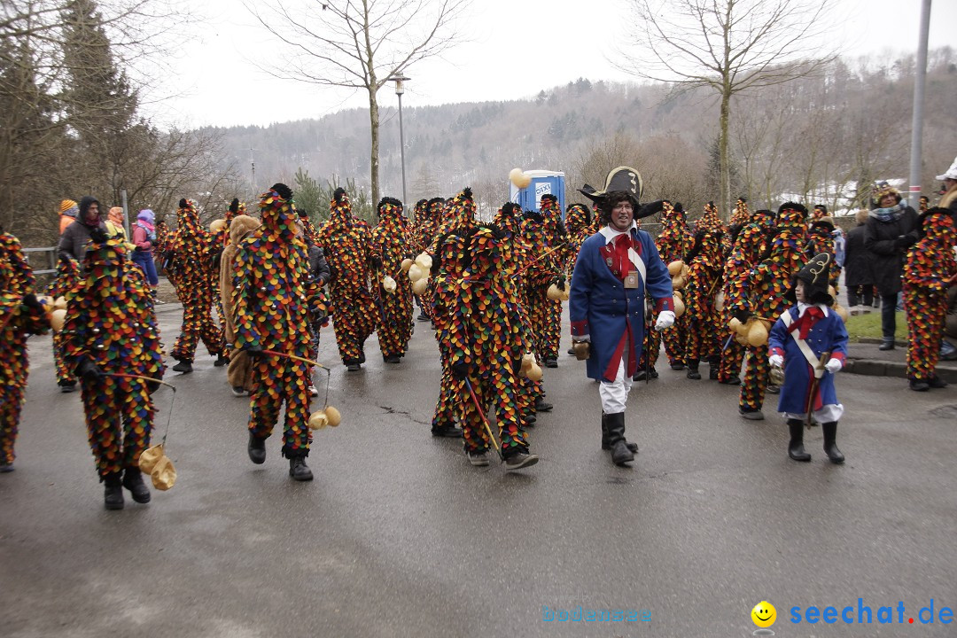 Festumzug mit Motivwagen: Stockach am Bodensee, 01.02.2015