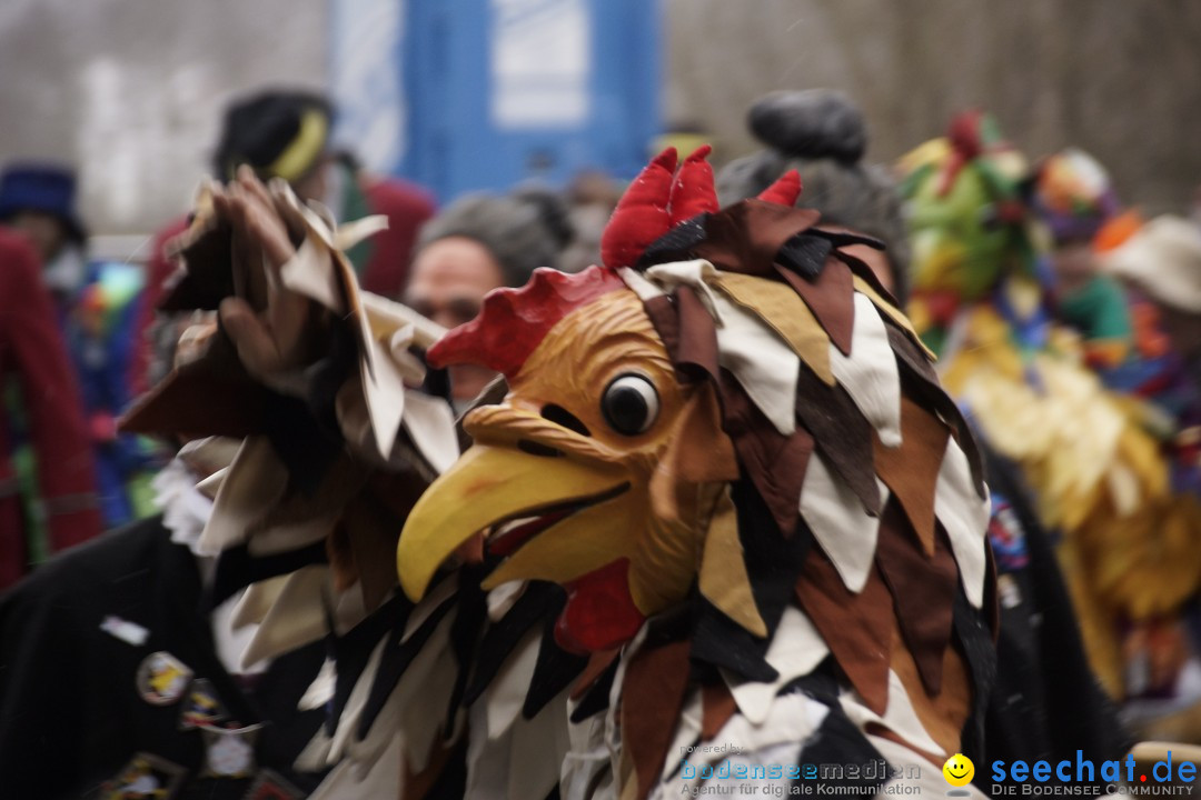 Festumzug mit Motivwagen: Stockach am Bodensee, 01.02.2015