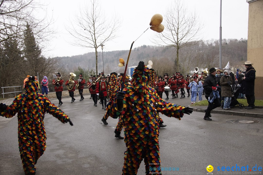 Festumzug mit Motivwagen: Stockach am Bodensee, 01.02.2015