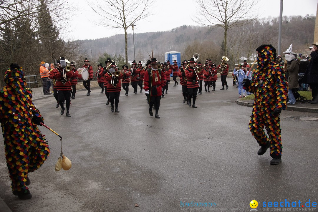 Festumzug mit Motivwagen: Stockach am Bodensee, 01.02.2015