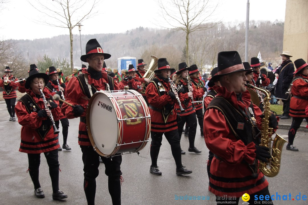 Festumzug mit Motivwagen: Stockach am Bodensee, 01.02.2015