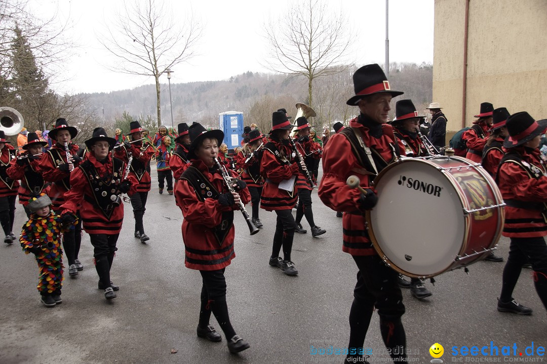 Festumzug mit Motivwagen: Stockach am Bodensee, 01.02.2015