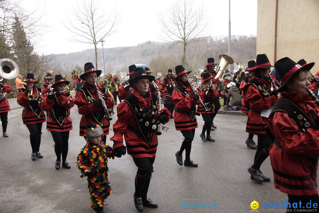 Festumzug mit Motivwagen: Stockach am Bodensee, 01.02.2015