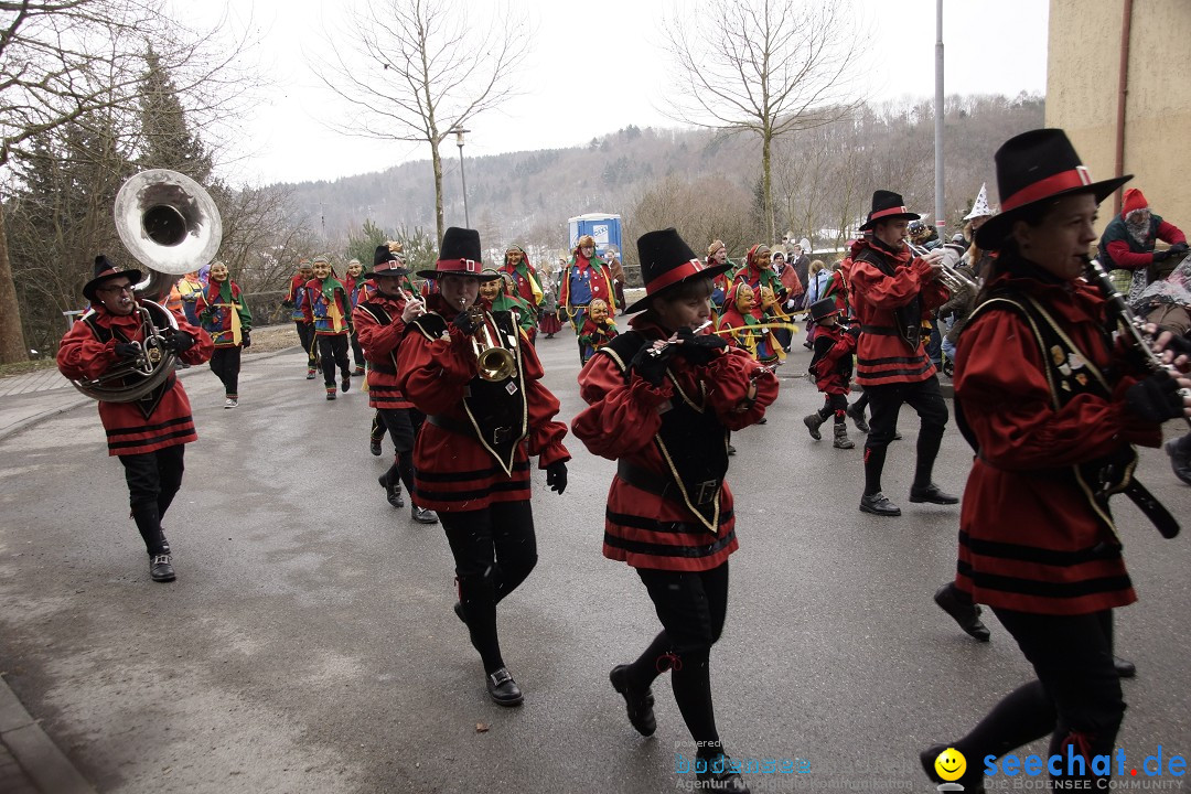 Festumzug mit Motivwagen: Stockach am Bodensee, 01.02.2015