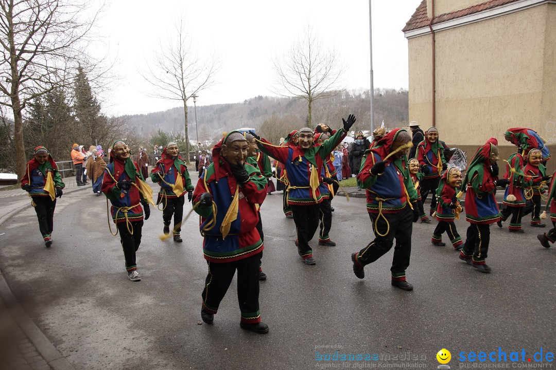 Festumzug mit Motivwagen: Stockach am Bodensee, 01.02.2015