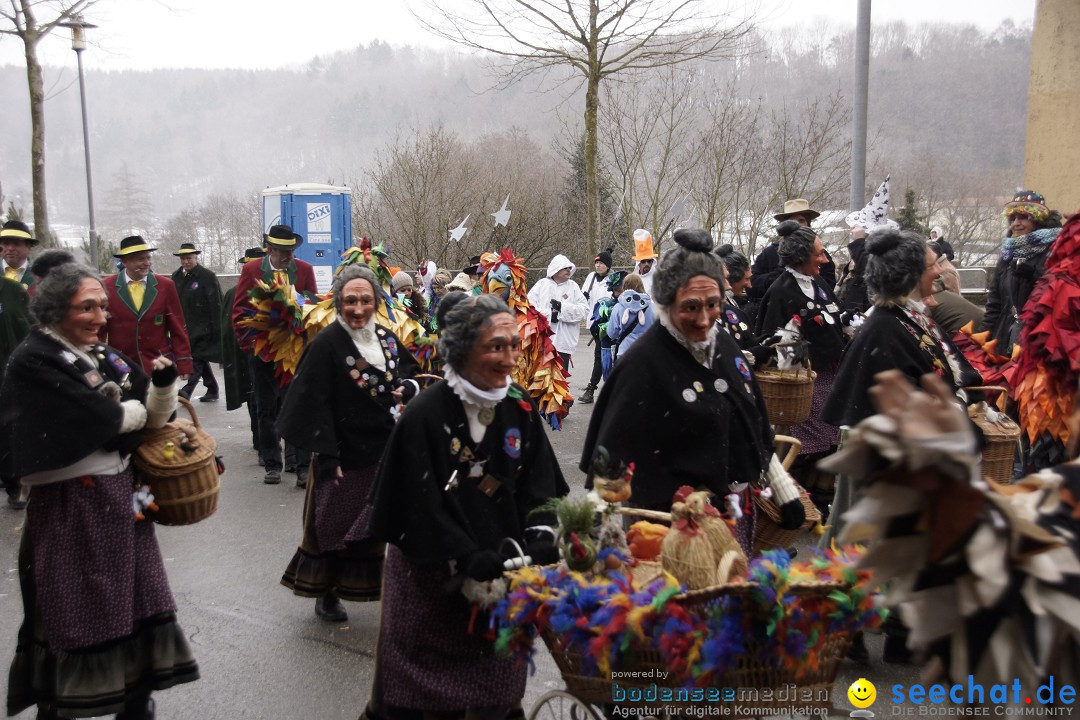 Festumzug mit Motivwagen: Stockach am Bodensee, 01.02.2015