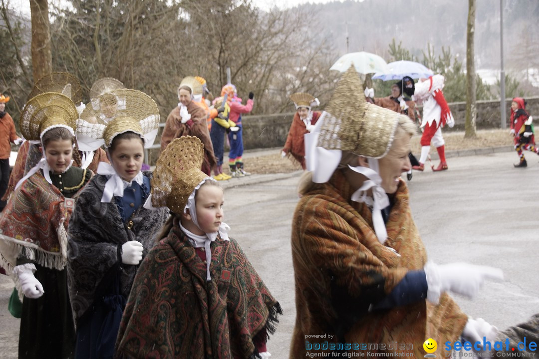 Festumzug mit Motivwagen: Stockach am Bodensee, 01.02.2015