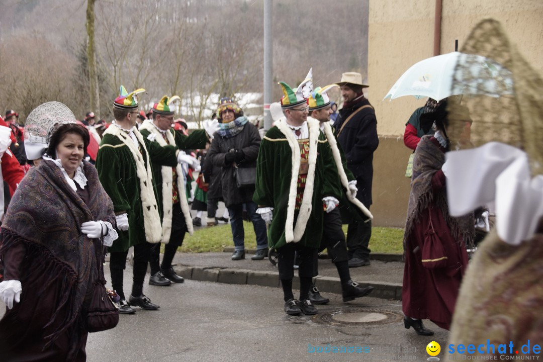 Festumzug mit Motivwagen: Stockach am Bodensee, 01.02.2015