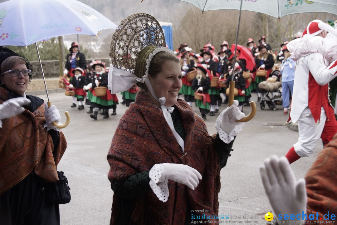 Festumzug mit Motivwagen: Stockach am Bodensee, 01.02.2015