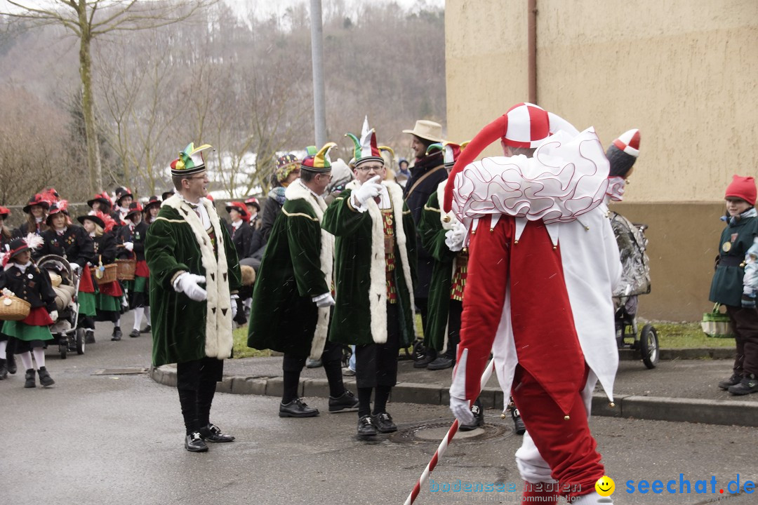 Festumzug mit Motivwagen: Stockach am Bodensee, 01.02.2015