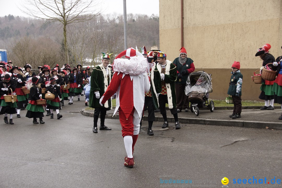 Festumzug mit Motivwagen: Stockach am Bodensee, 01.02.2015