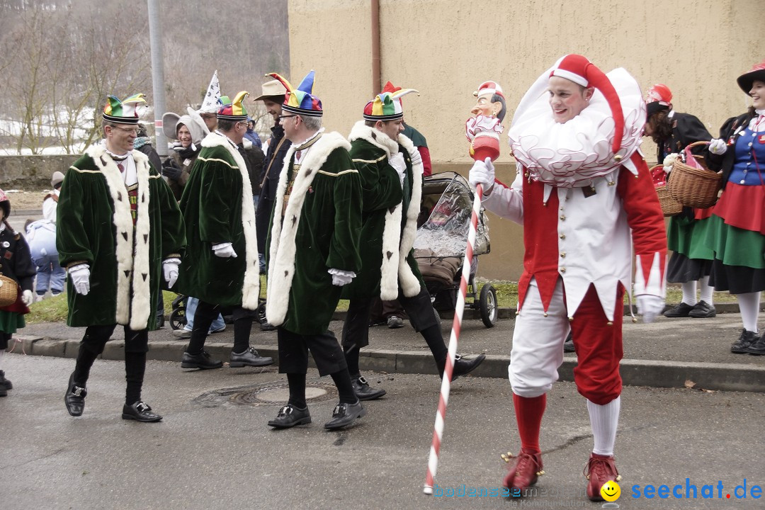 Festumzug mit Motivwagen: Stockach am Bodensee, 01.02.2015