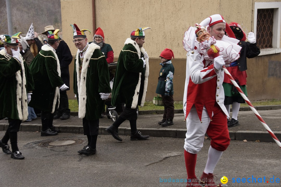 Festumzug mit Motivwagen: Stockach am Bodensee, 01.02.2015