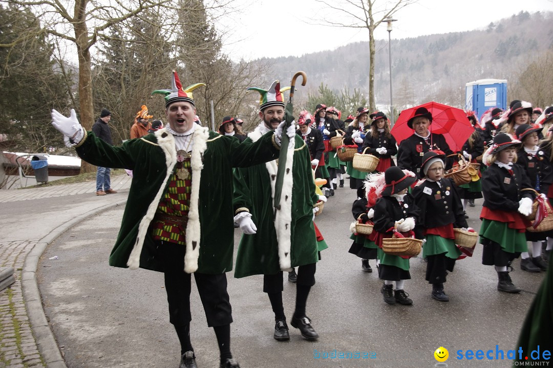 Festumzug mit Motivwagen: Stockach am Bodensee, 01.02.2015