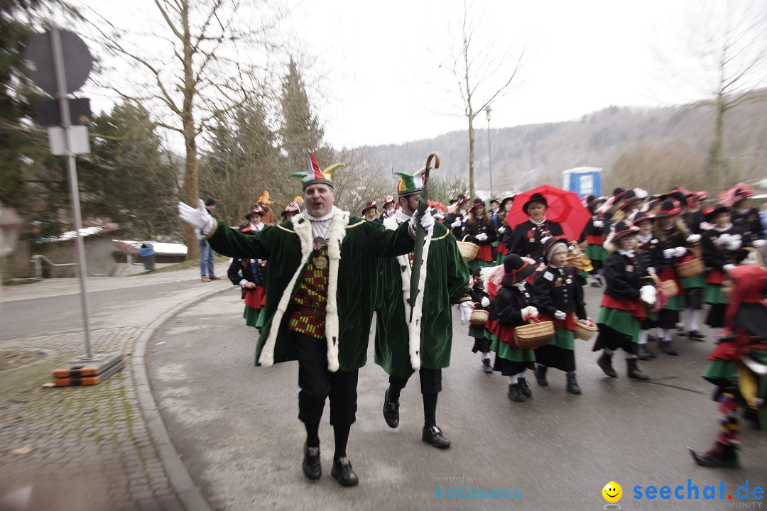 Festumzug mit Motivwagen: Stockach am Bodensee, 01.02.2015