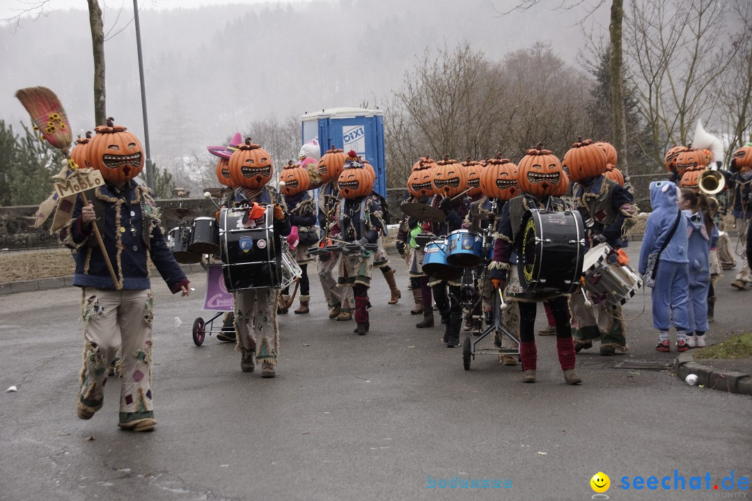 Festumzug mit Motivwagen: Stockach am Bodensee, 01.02.2015