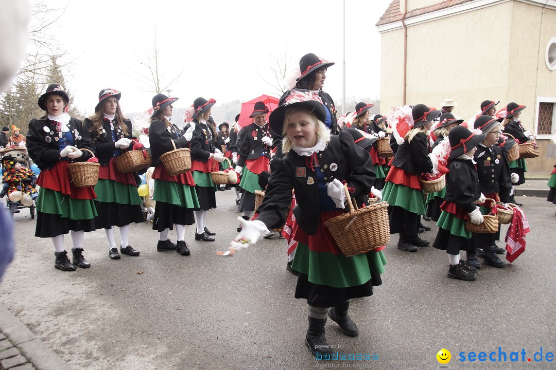 Festumzug mit Motivwagen: Stockach am Bodensee, 01.02.2015