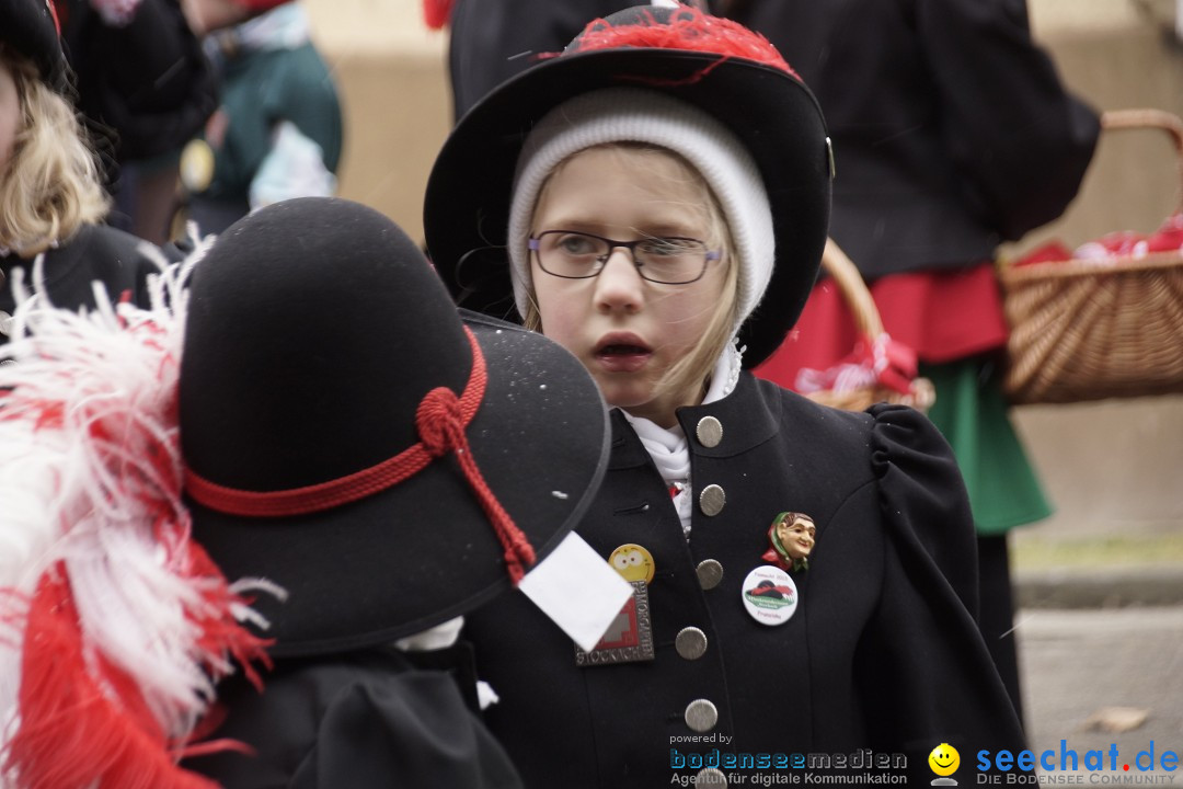 Festumzug mit Motivwagen: Stockach am Bodensee, 01.02.2015