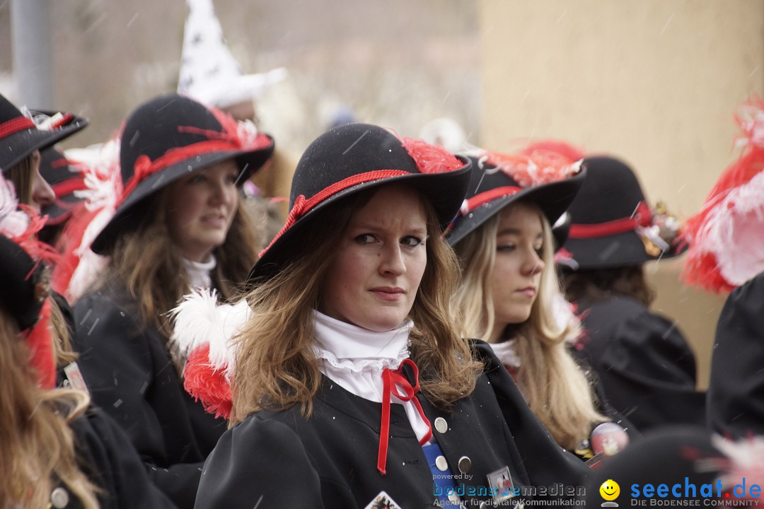 Festumzug mit Motivwagen: Stockach am Bodensee, 01.02.2015